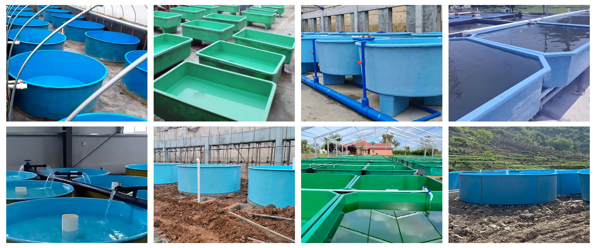 Case of Fiberglass Fish Tanks